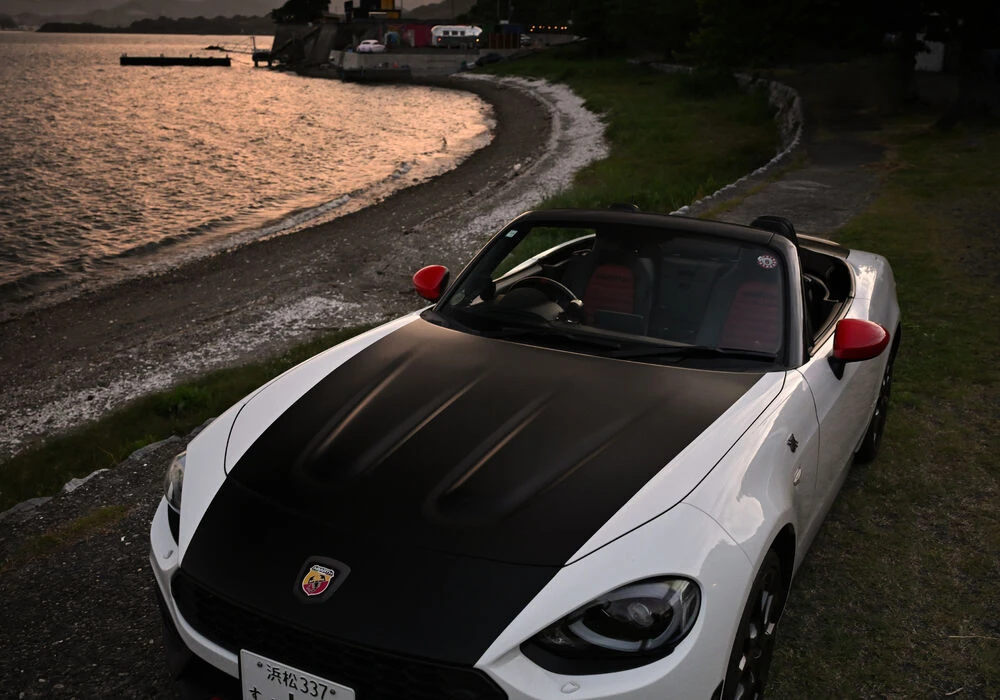 Z8K_0074